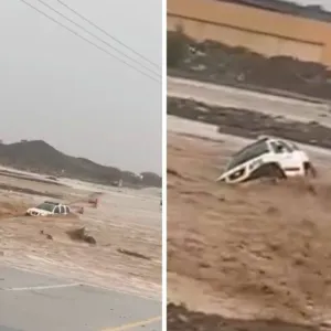 شاهد.. سيل ضخم يجرف مركبة بداخلها عائلة في سلطنة عمان بعد هطول الأمطار الغزيرة