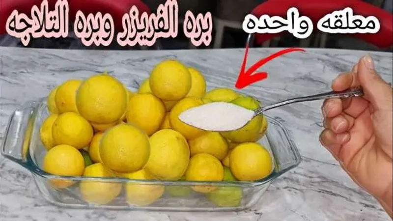 ملعقة واحدة من الملح تساعدك في تخزين الليمون أطول مدة.. اعرفي الطريقة