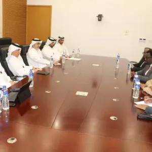 وزير الدولة للشؤون الخارجية يجتمع مع نائب رئيس الوزراء الصومالي