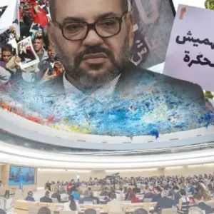 مجلس حقوق الإنسان الأممي يدعو المنظمات الحقوقية الدولية لفضح انتهاكات المغرب بحق مناهضي التطبيع