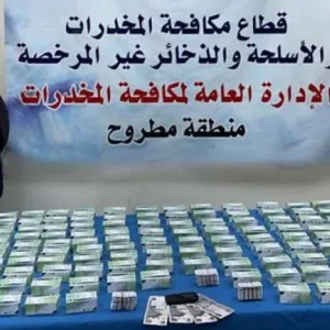 ضبط مخدرات بـ4 ملايين جنيه بحوزة 3 عناصر إجرامية في القاهرة ومطروح