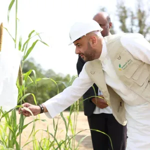 "ريف السعودية": الميكنة الزراعية خفّضت تكاليف حصاد المحاصيل البعلية بـ 90%