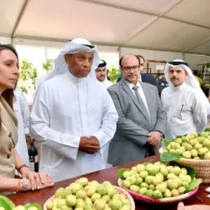 افتتاح مهرجان اللوز بمشاركة 13 مزارعاً و4 أسر منتجة