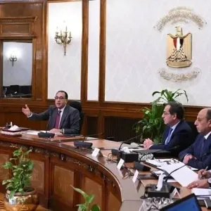 تغيير وزراء المالية والخارجية والتموين في الحكومة المصرية