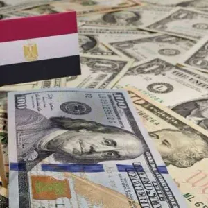 احتياطات مصر الأجنبية ترتفع فوق 46 مليار دولار في مايو