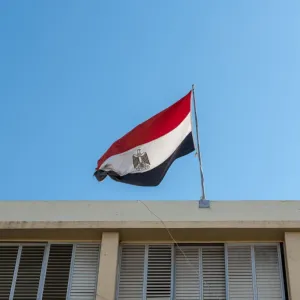 نائبة مصرية: مشاركة القطاع الخاص "يوم أسود في تاريخ الصحة المصرية"