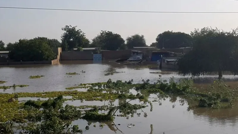 مقتل 20 شخصًا على الأقل في فيضانات بوسط كينيا