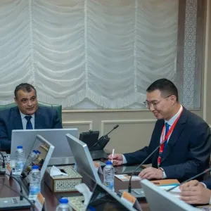 مصر تبحث التعاون مع "FAMSUN" الصينية لتوطين أحدث تكنولوجيات التصنيع