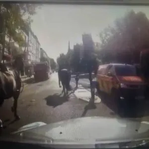 مجددًا.. خيول عسكرية تعدو طليقة بشوارع لندن بعد فزع أحدها وفرارها من تدريبات للجيش البريطاني