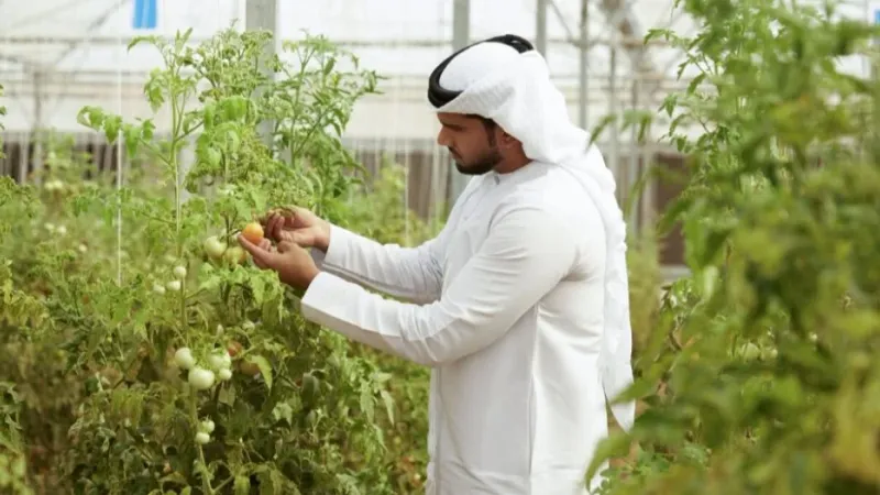 إصدار قرار بشأن تنظيم مزارع الإنتاج النباتي لصغار المزارعين في أبوظبي