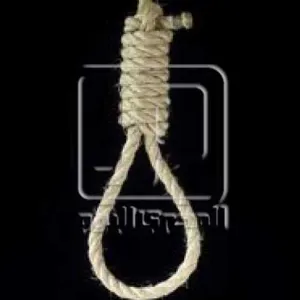 «جنايات سوهاج» تقضى بإعدام عامل نحر شقيقه بعد مطالبته برد «تحويشة الغربة»