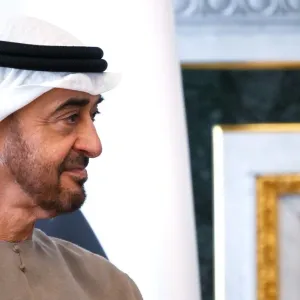 تصرف إنساني لرئيس الإمارات مع سيدة تونسية يثير تفاعلا (فيديو)