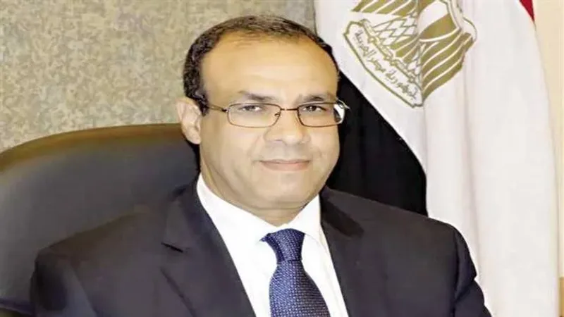 من هو السفير بدر عبد العاطي وزير الخارجية والهجرة المصري الجديد؟