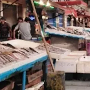أسعار الأسماك والمأكولات البحرية اليوم 11 مايو 2024