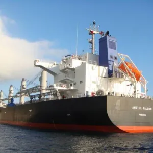 سفينة تجارية أجنبية تصطدم بمركب صيد تونسي بسواحل غار الملح (وزارة الدفاع)