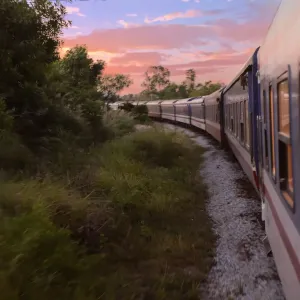 في فيتنام.. مسار قطار يقدم تجربة جديدة لركابه الأثرياء