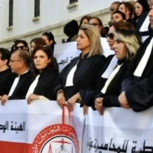 تونس : المحامون في إضراب عام بداية من يوم الاثنين