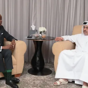  وزير المالية يجتمع مع نظيره النيجيري