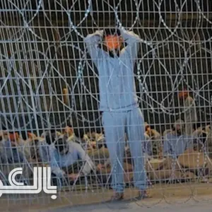 مقيدون باستمرار ويرتدون حفاضات.. تحقيق لـCNN يكشف ما يجري لفلسطينيين داخل سجن إسرائيلي غامض