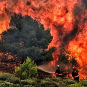 إجلاء أكثر من 5 آلاف شخص بولاية كاليفورنيا إثر حرائق الغابات