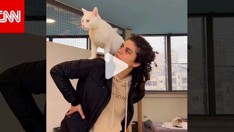 لبنانية تُنقذ الحيوانات المشردة في بلدها..كيف أحدثت فرقًا في حياة القطط والكلاب؟ #حكايتها