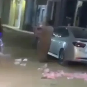 لسبب غريب.. شاهد: بائع مصري يرمي أكياس حلوى "غزل البنات" على الأرض وسط شارع عام