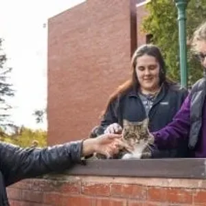 جامعة أمريكية تكرم "قط" لتعامله الودود مع الطلبة ودوره فى حمايتهم من الفئران