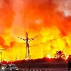 إخماد حريق اندلع في مجرى وادي ميزاب بغرداية