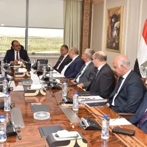 وزير قطاع الأعمال المصري: نستهدف تعظيم عوائد الأصول المملوكة للشركات التابعة