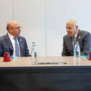 الزياني وأبوالغيط يبحثان في بروكسل تنفيذ مبادرات القمة العربية