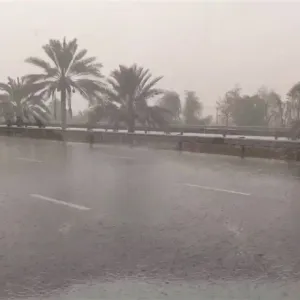 الحالة الجوية تشتد على الإمارات.. العمل والدراسة عن بُعد