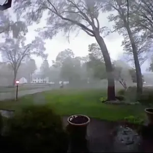 شاهد: لحظة اقتلاع الأشجار واحدة تلو الأخرى بفناء منزل في ميشيغان إثر مرور إعصار مدمّر