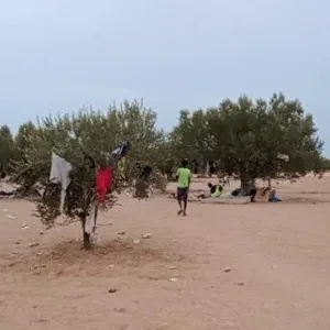 صفاقس : الانطلاق في إزالة مخيمات المهاجرين بالعامرة
