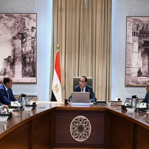 مصر: تجهيز خطة خاصة لضمان الصادرات والاستثمار بإفريقيا