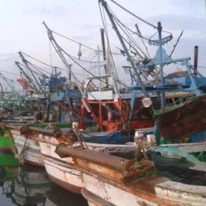 ضبط أكثر من 2000 مركب صيد مخالف في بحيرة البرلس