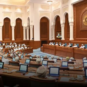 مجلسا الدولة والشورى يعقدان جلسة مشتركة بشأن مواد محل الاختلاف في 3 مشروعات قوانين
