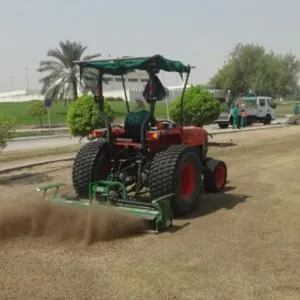 اصفرار مؤقت في الحدائق العامة.. والبلدية تكشف السبب