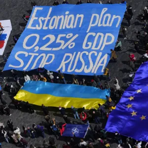فيديو. 
            
    			تجمع في براغ لدعم أوكرانيا من خلال "الخطة الأستونية"