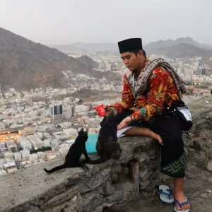 من مكة: مشهد تغمره السكينة والطمأنينة.. حاج يُطعم القطط فوق قمة جبل النور