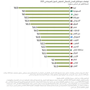 توقعات عام 2025 للاقتصادات الأعلى نموًا في الدول العربية