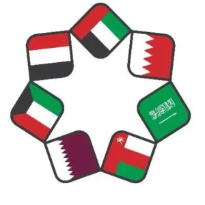 مجلس الصحة الخليجي يناقش التصور الإستراتيجي للفترة 2025 - 2030