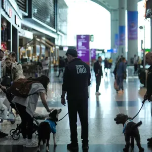 لعلاج التوتر.. مطار إسطنبول يعين 5 كلاب وظيفتها عناق وتقبيل المسافرين