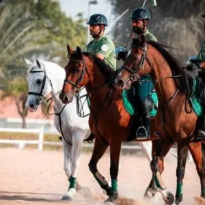 شرطة دبي تؤسس فريقاً لرياضة «التقاط الأوتاد»