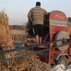 مصرع شاب لسقوطه بماكينة دراس القمح في أسيوط
