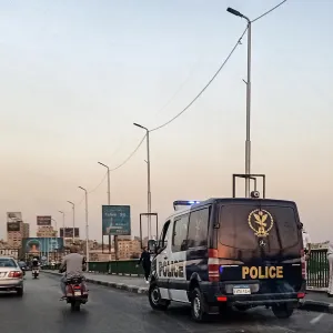 مصر.. الداخلية تُعلق على واقعة "تحرش" سائق بفتاة أمام قاعة أفراح