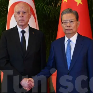 مجلس نواب الصين: ندعم القيادة التونسية في خياراتها وفي رفضها لأي تدخل أجنبي