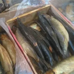 مصادرة 1750 كيلو أسماك مدخنة "رنجة" غير صالحة للاستهلاك الآدمي بالغربية