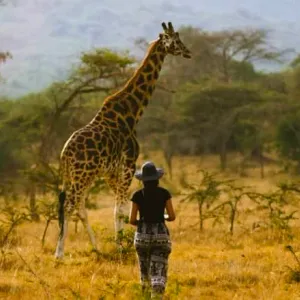 "لؤلؤة إفريقيا غير المكتشفة".. هذا ما تقدمه أوغندا لعشاق تجارب السفر