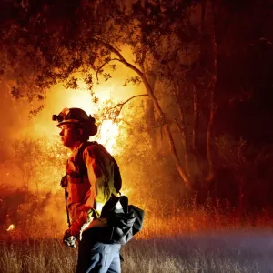 فيديو: كاليفورنيا تحترق.. مشاهد صادمة لنيران تلتهم مساحات شاسعة من الغابات