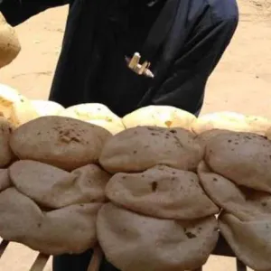 «التموين» تخطر القائمين على منظومة الخبز بالسعر الجديد للرغيف المدعم